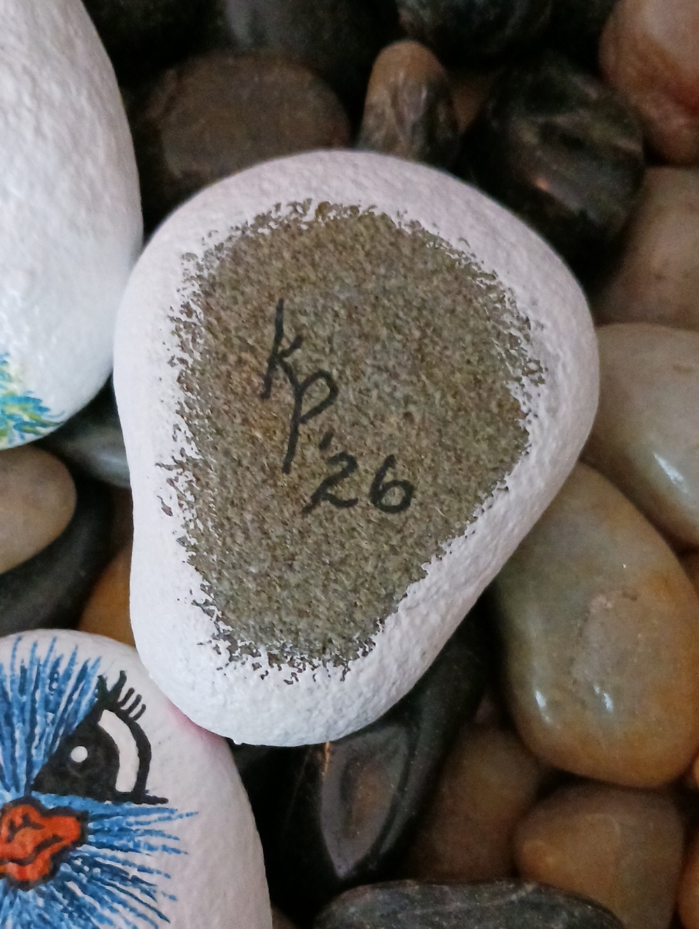 Hand Painted Ostrich Rocks - Picture 3 of 7
